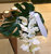 6.01 Rouwboeket, Phalaenopsis (orchidee)